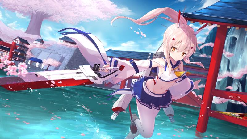 Featured image of post 关于